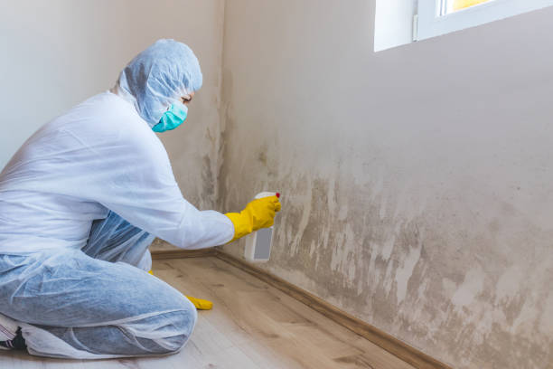 Bathroom Mold Removal assessment in Bradenton Beach bathroom